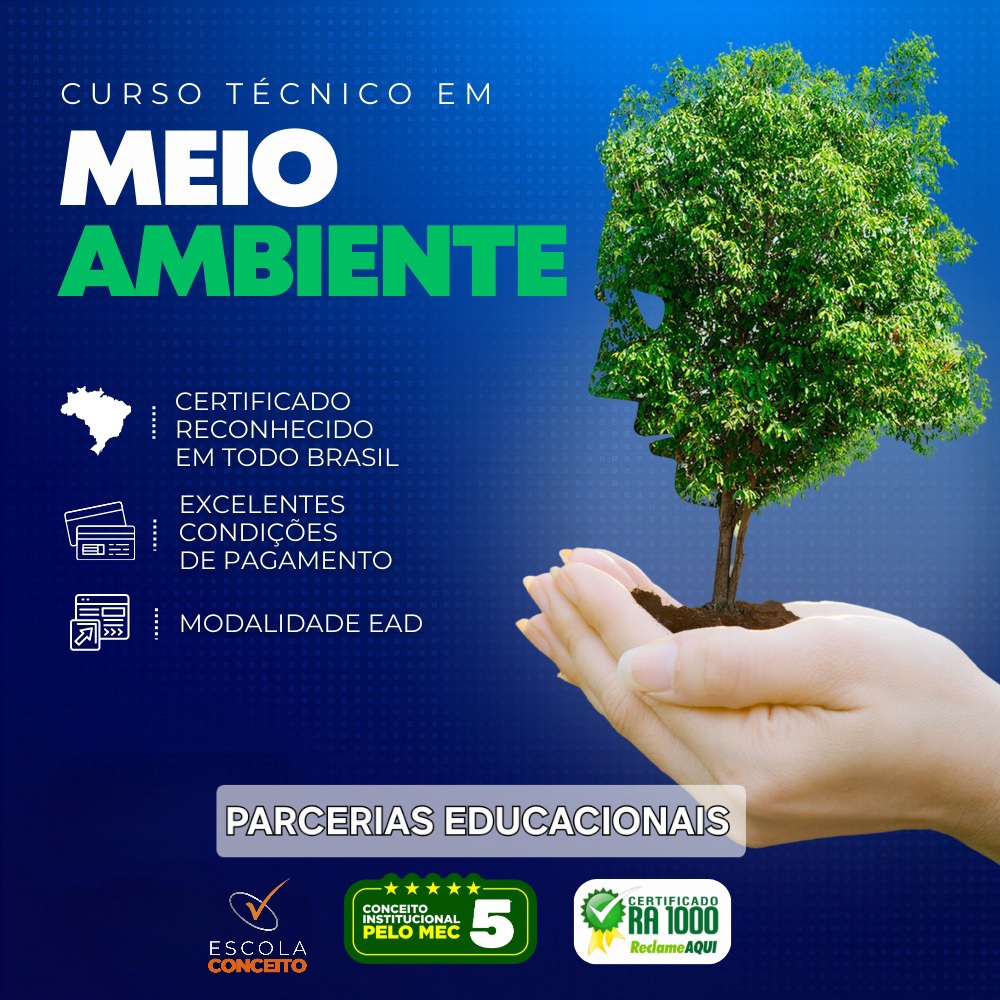 TÉCNICO EM MEIO AMBIENTE (SEI)